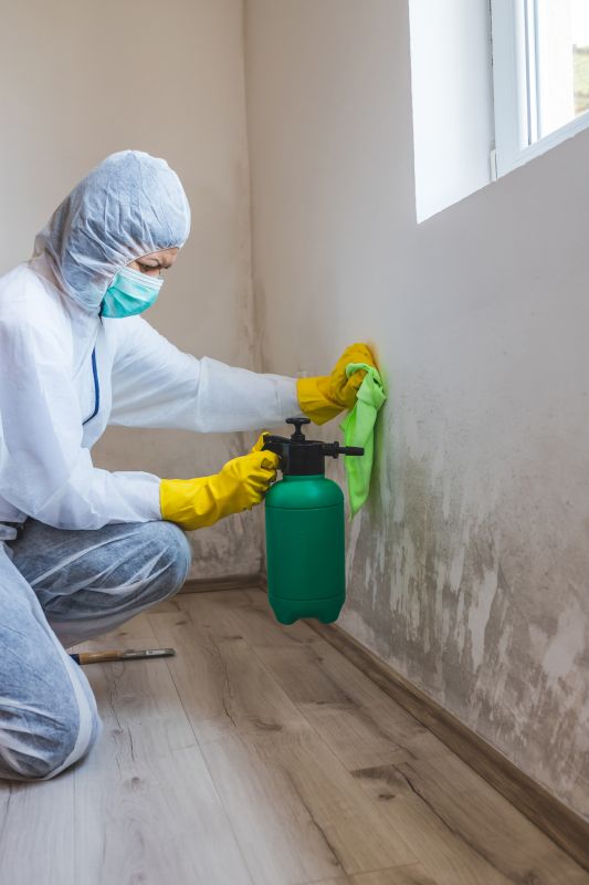 Mold Remediation Process
