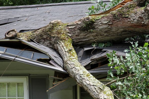 Storm Remediation in Fort Mill