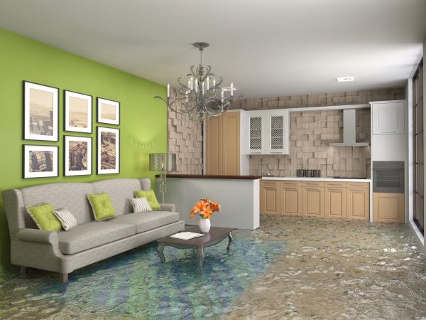 Wet Carpet Drying in Fort Mill