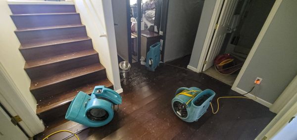 Water Damage Remediation in Fort Mill
