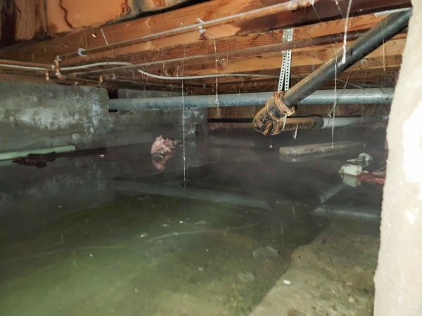 Water Mitigation Service in Fort Mill